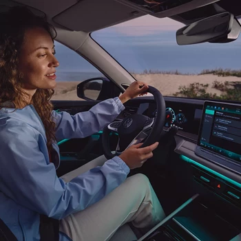 TY0047 Tayron Interior Woman Interacting With IDA