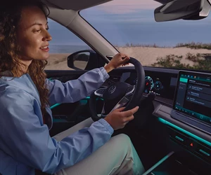 TY0047 Tayron Interior Woman Interacting With IDA