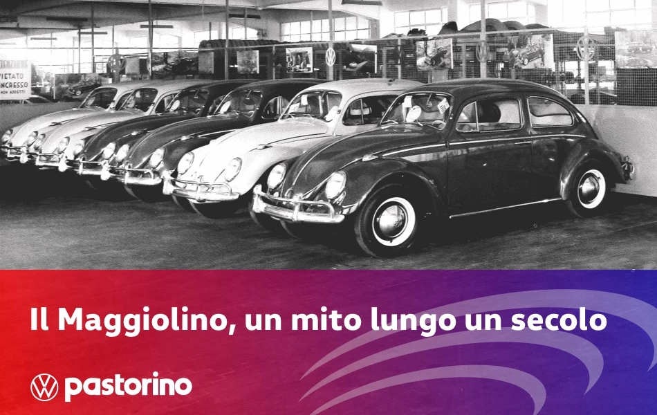 19 News Maggiolino Mito 950