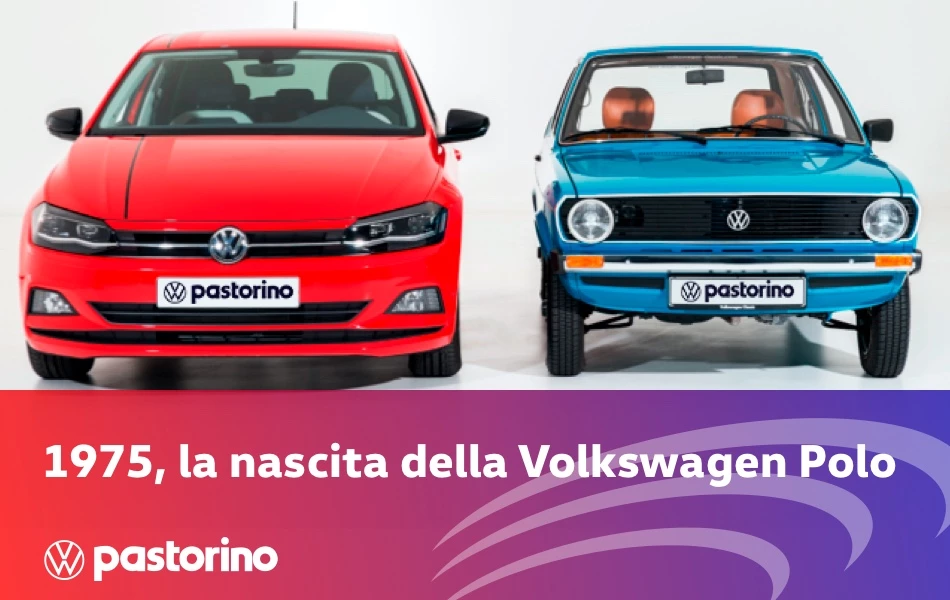 21 News Nascita Polo 950